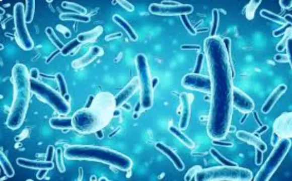 antimicrob1 1 RESEARCH GROUPS antimicrob1 1 NUST School of Health Sciences Medical College, Pakistan